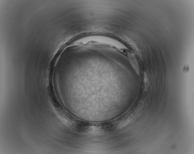 X0000090880496200708171648