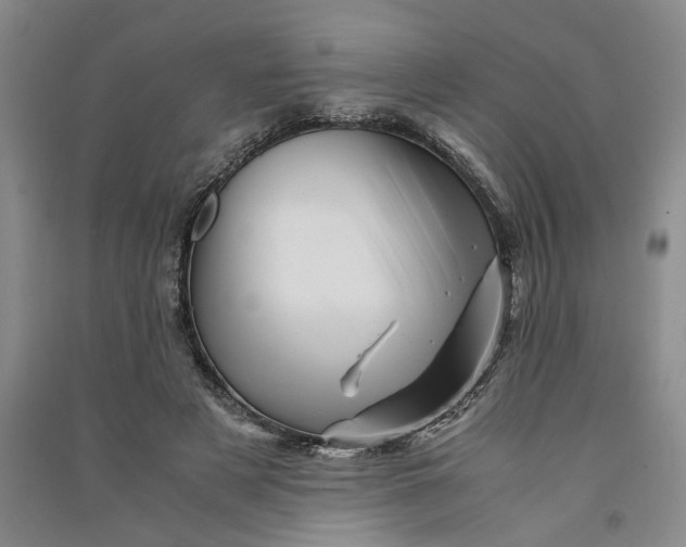 X0000090880497200708171648