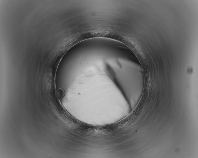 X0000090880498200708171648