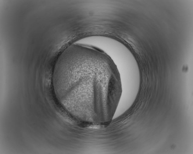 X0000090880499200708171648