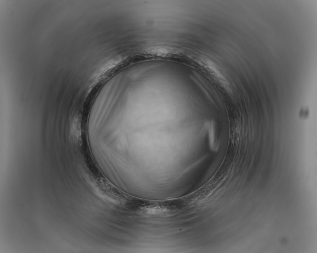 X0000090880500200708171648