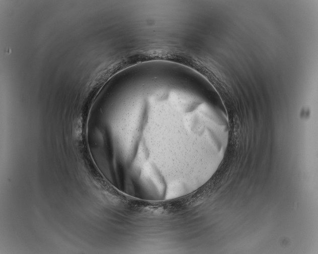 X0000090880502200708171648