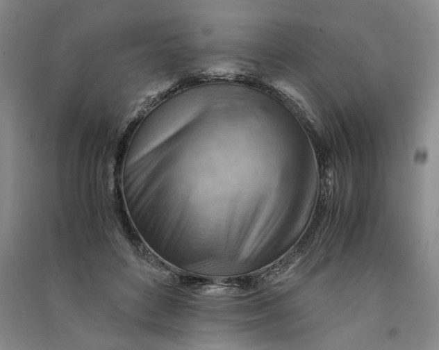 X0000090880504200708171648