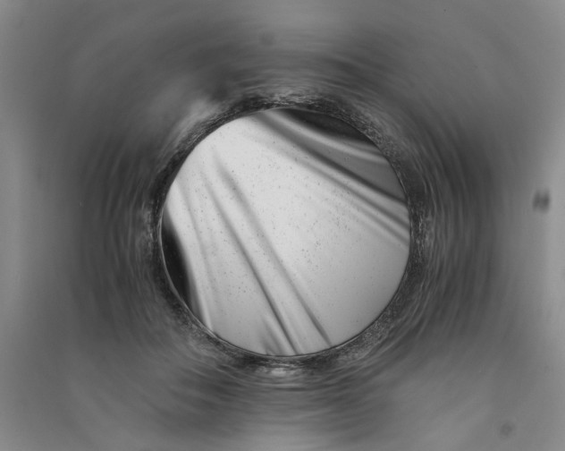 X0000090880506200708171648