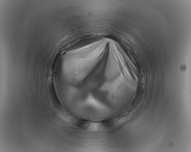 X0000090880507200708171648