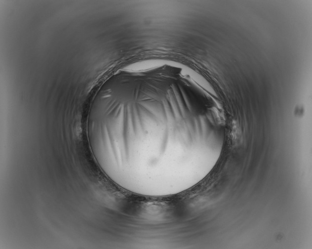 X0000090880508200708171648