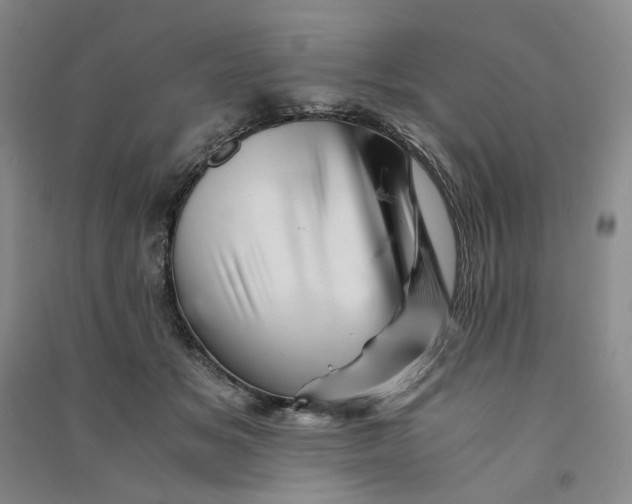 X0000090880509200708171648