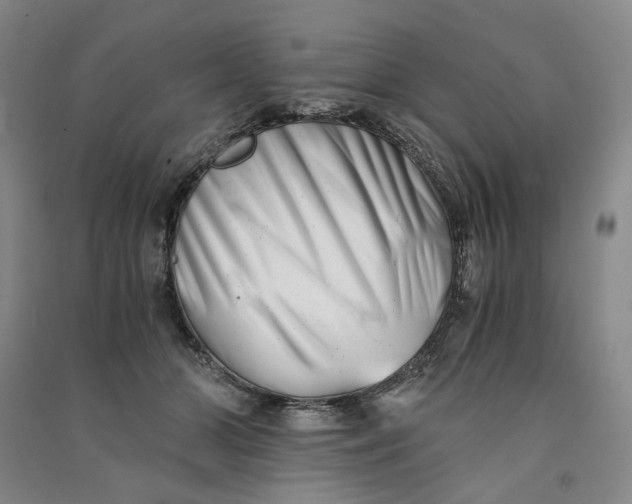 X0000090880510200708171648