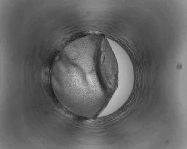 X0000090880511200708171648