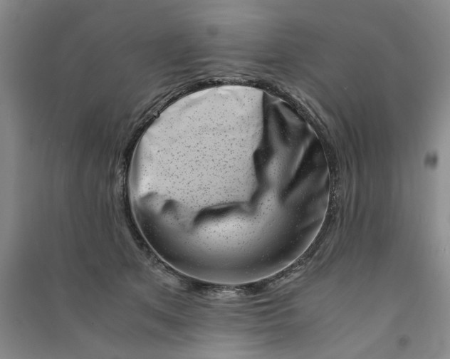 X0000090880513200708171648