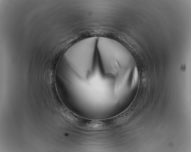 X0000090880514200708171648