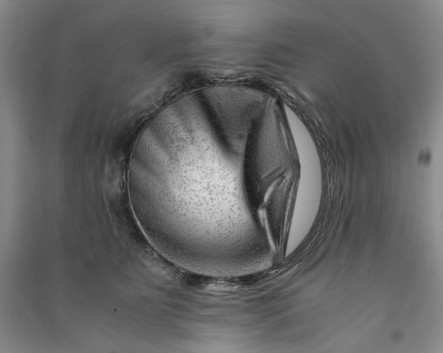 X0000090880515200708171648