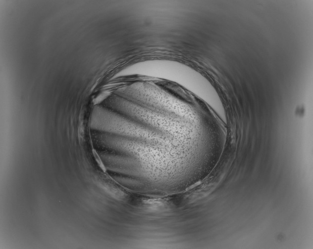 X0000090880516200708171648