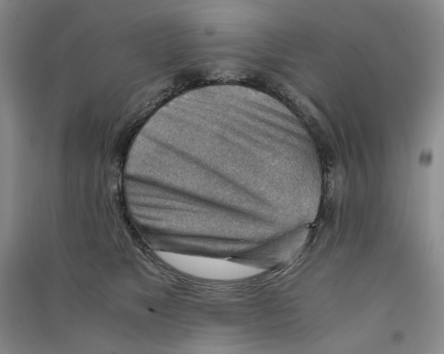 X0000090880517200708171648