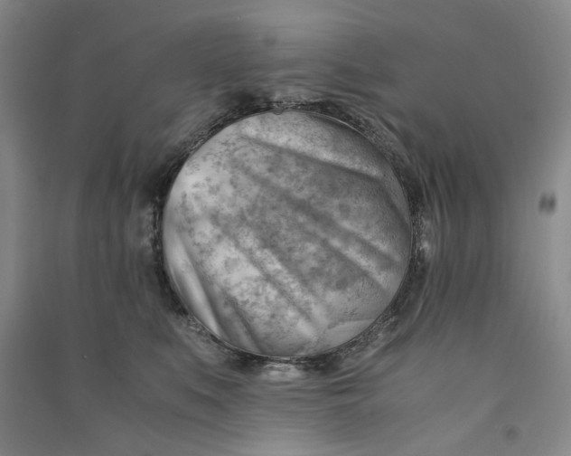 X0000090880519200708171648