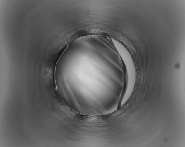 X0000090880521200708171648