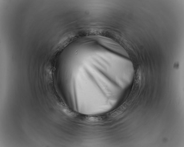 X0000090880522200708171648