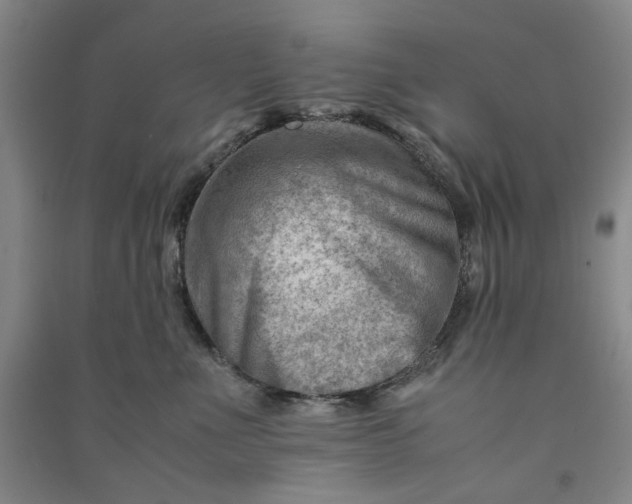 X0000090880523200708171648