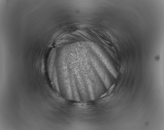 X0000090880524200708171648