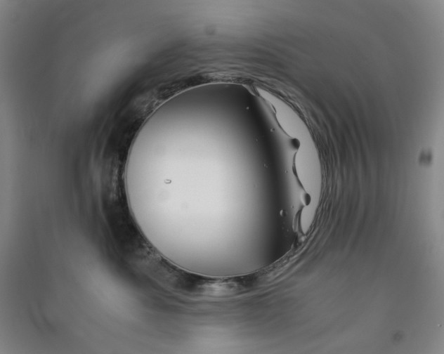 X0000090880525200708171648