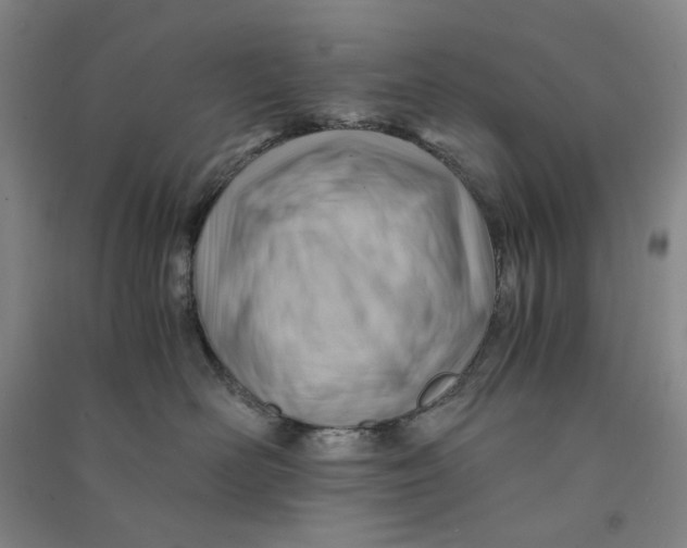 X0000090880526200708171648