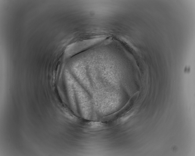 X0000090880528200708171648