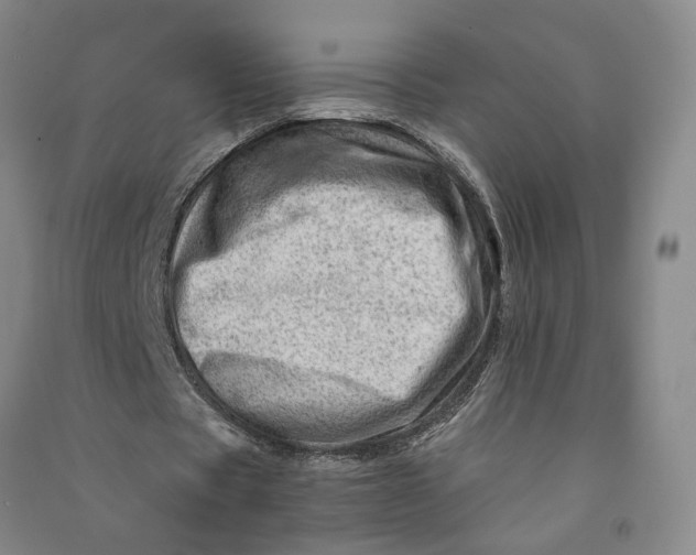 X0000090880529200708171647