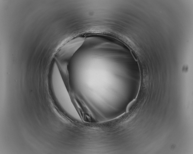 X0000090880530200708171647