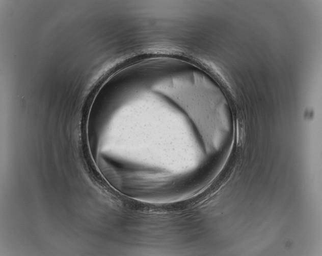 X0000090880531200708171647