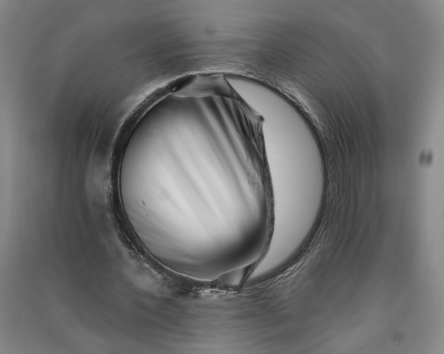 X0000090880532200708171647