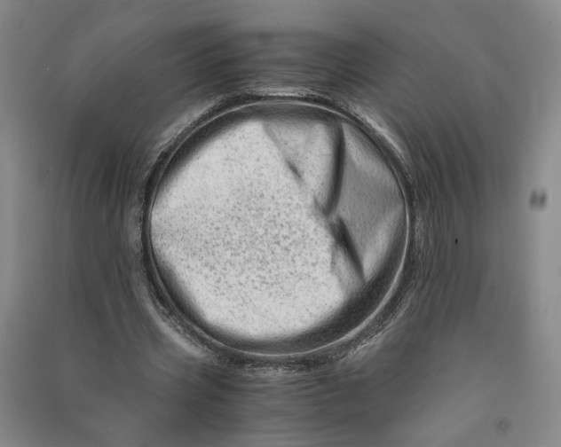 X0000090880533200708171647