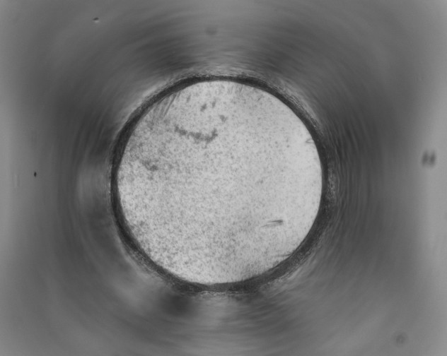 X0000090880534200708171647