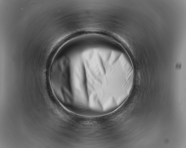 X0000090880535200708171647