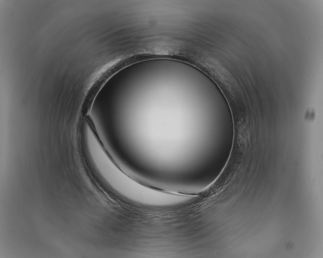 X0000090880536200708171647