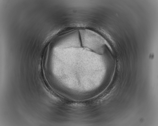 X0000090880537200708171647