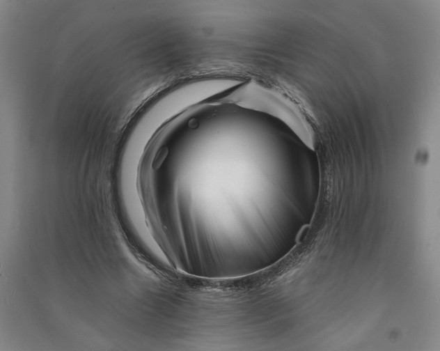 X0000090880538200708171647