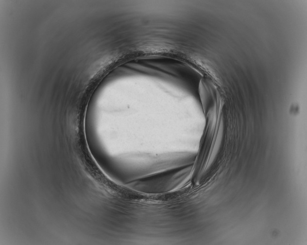 X0000090880539200708171647