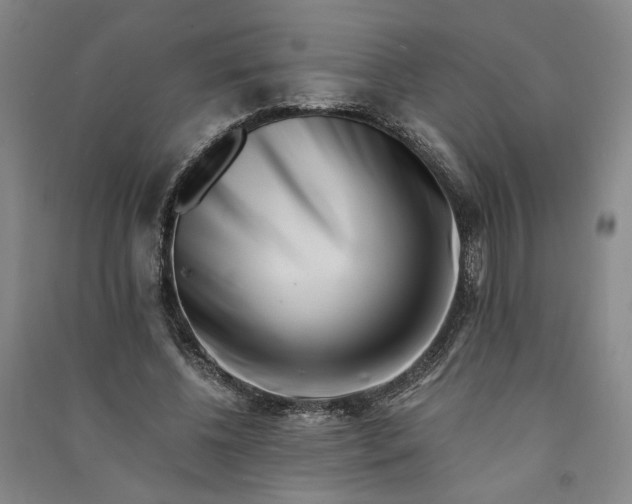 X0000090880540200708171647