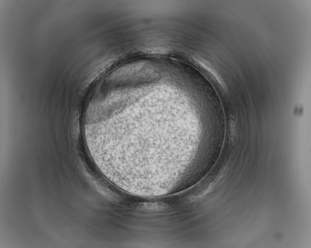 X0000090880541200708171647