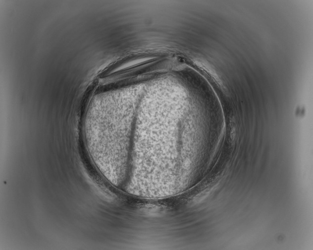 X0000090880542200708171647