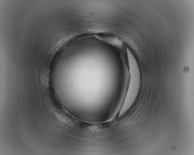 X0000090880544200708171647