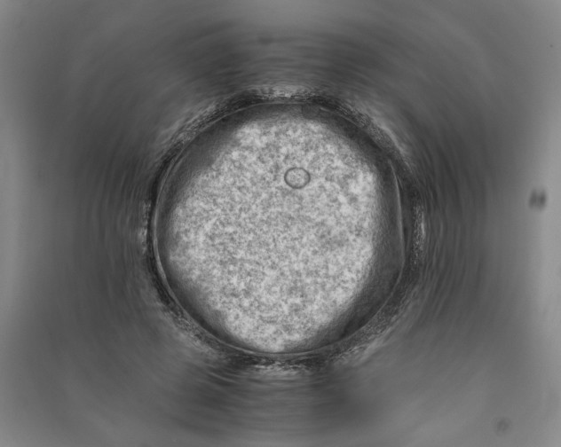 X0000090880545200708171647