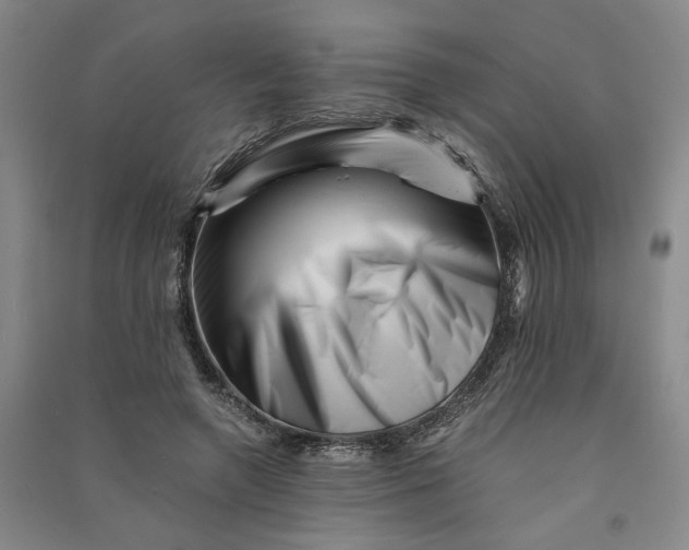 X0000090880546200708171647