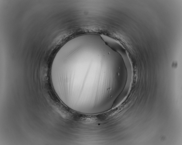 X0000090880548200708171647