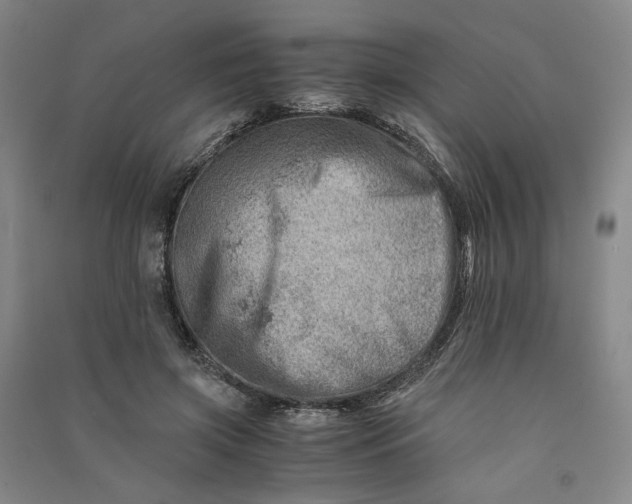 X0000090880549200708171647