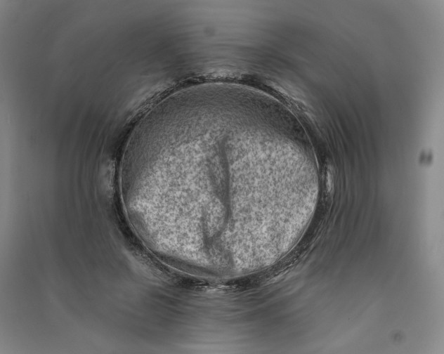 X0000090880550200708171647