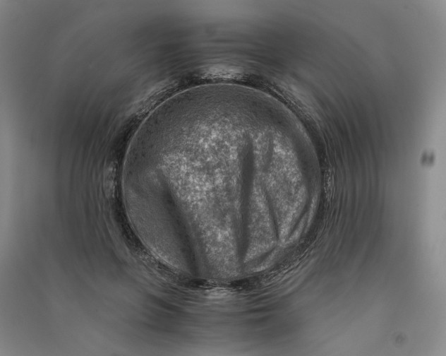 X0000090880551200708171647