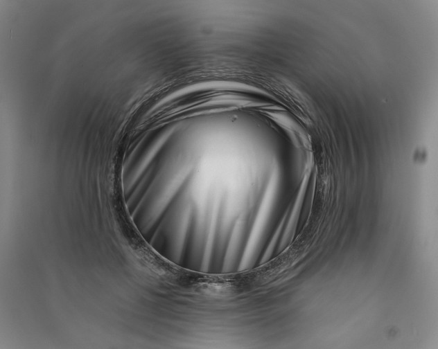 X0000090880552200708171647