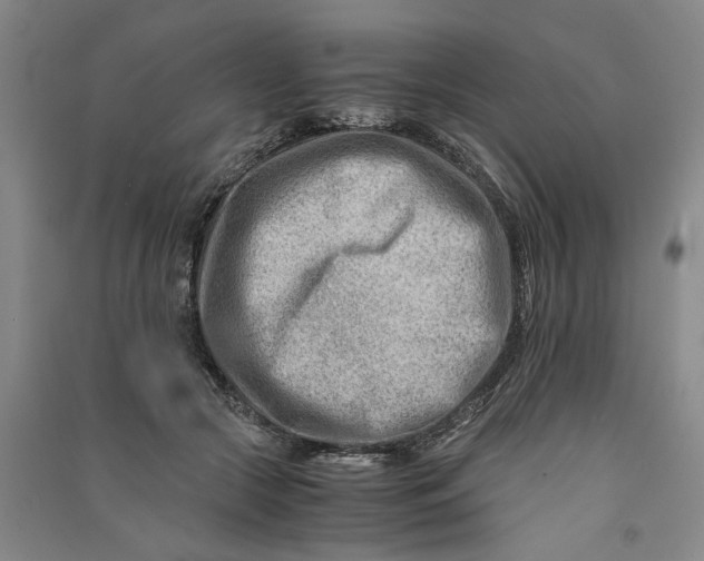 X0000090880553200708171647