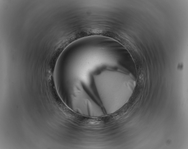 X0000090880555200708171647